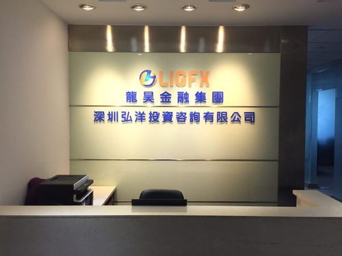 深圳弘洋投資咨詢(xún) 專(zhuān)業(yè)投資管理服務(wù)助力企業(yè)發(fā)展